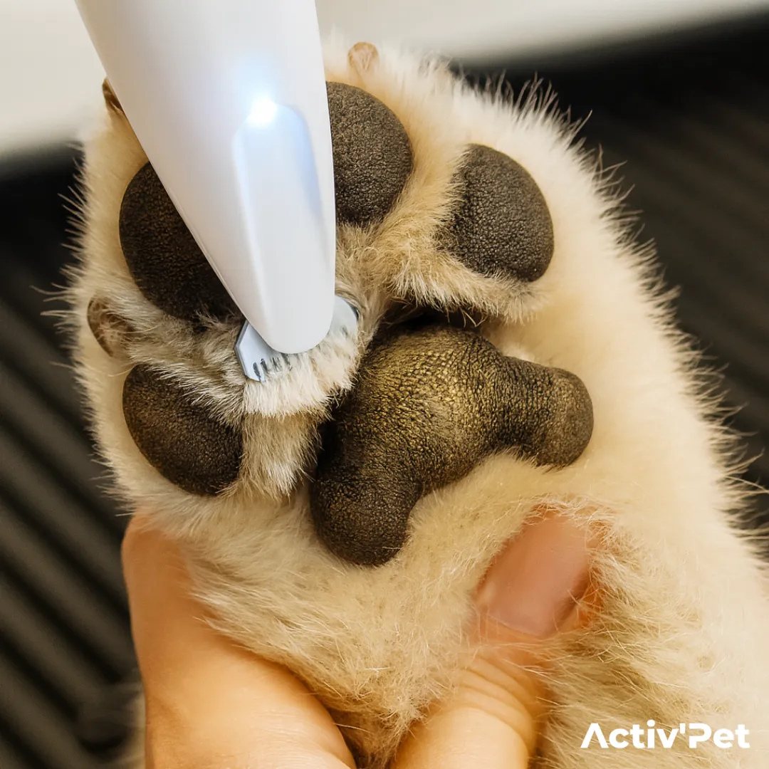Tosatrice per zampe di cane