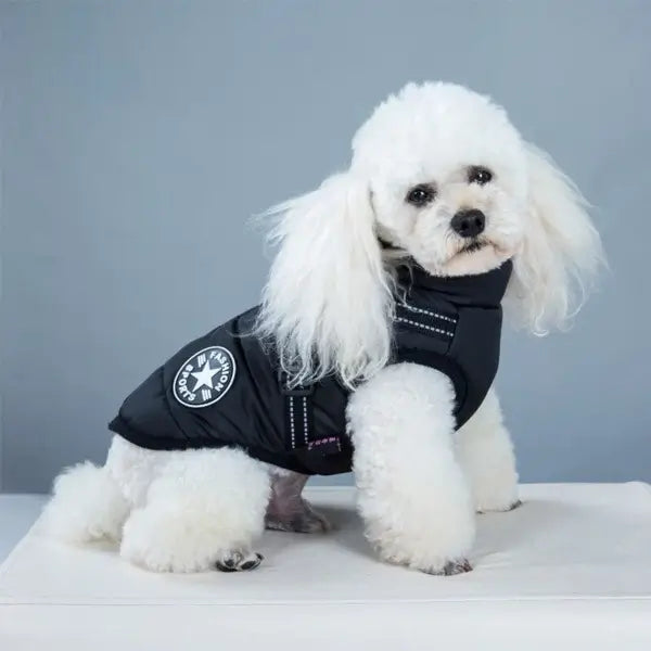 Cappotto per cane con pettorina integrata