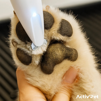 Tosatrice per zampe di cane