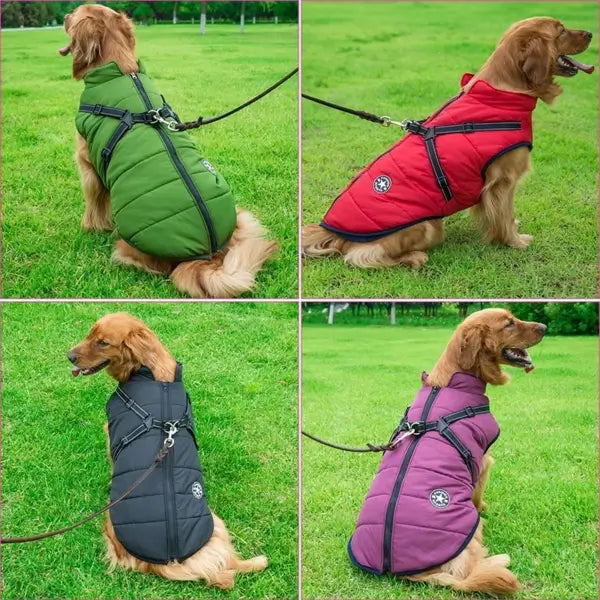 Giacca Invernale 3 in 1 + Pettorina OMAGGIO